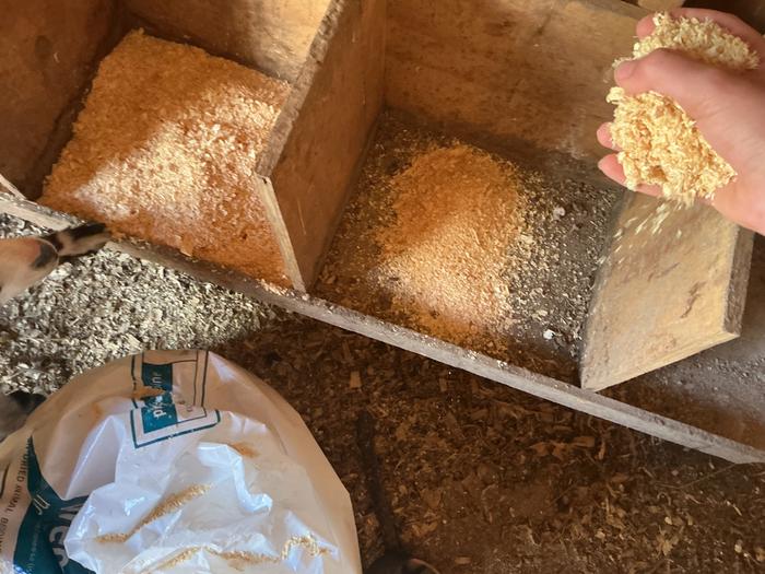 Filling them with bedding