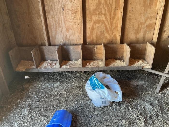 The finished nesting boxes