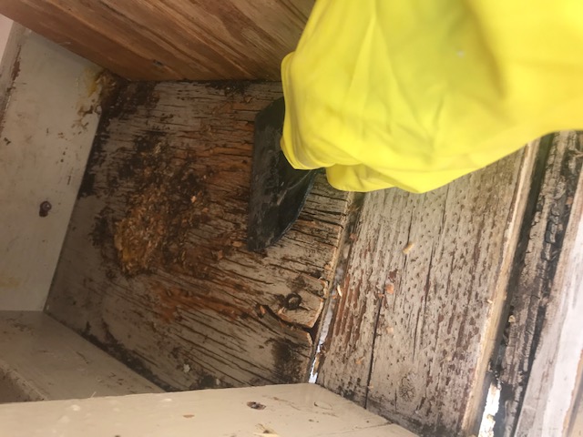 Next, scrape anything stuck 