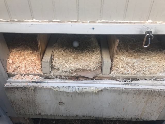3 clean boxes. Need to put the rest of the golf balls back. Then get ready for painting.