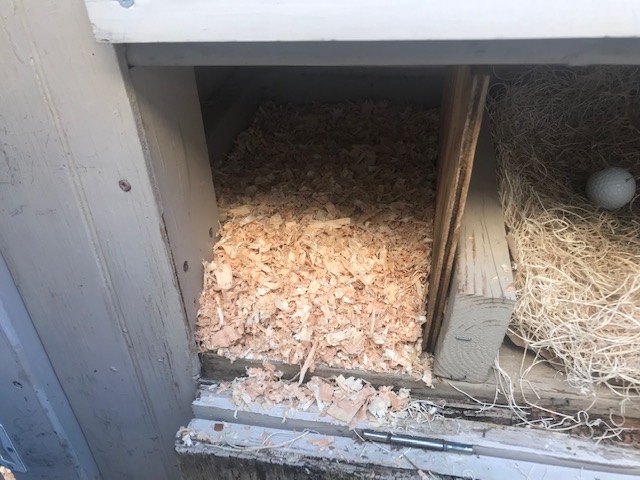 Box 1 and 2 clean