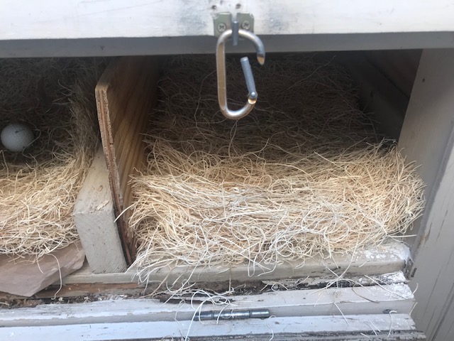 Box 2 and 3 clean