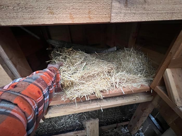 Adding straw to nest box