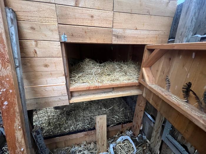 Straw added to nest box