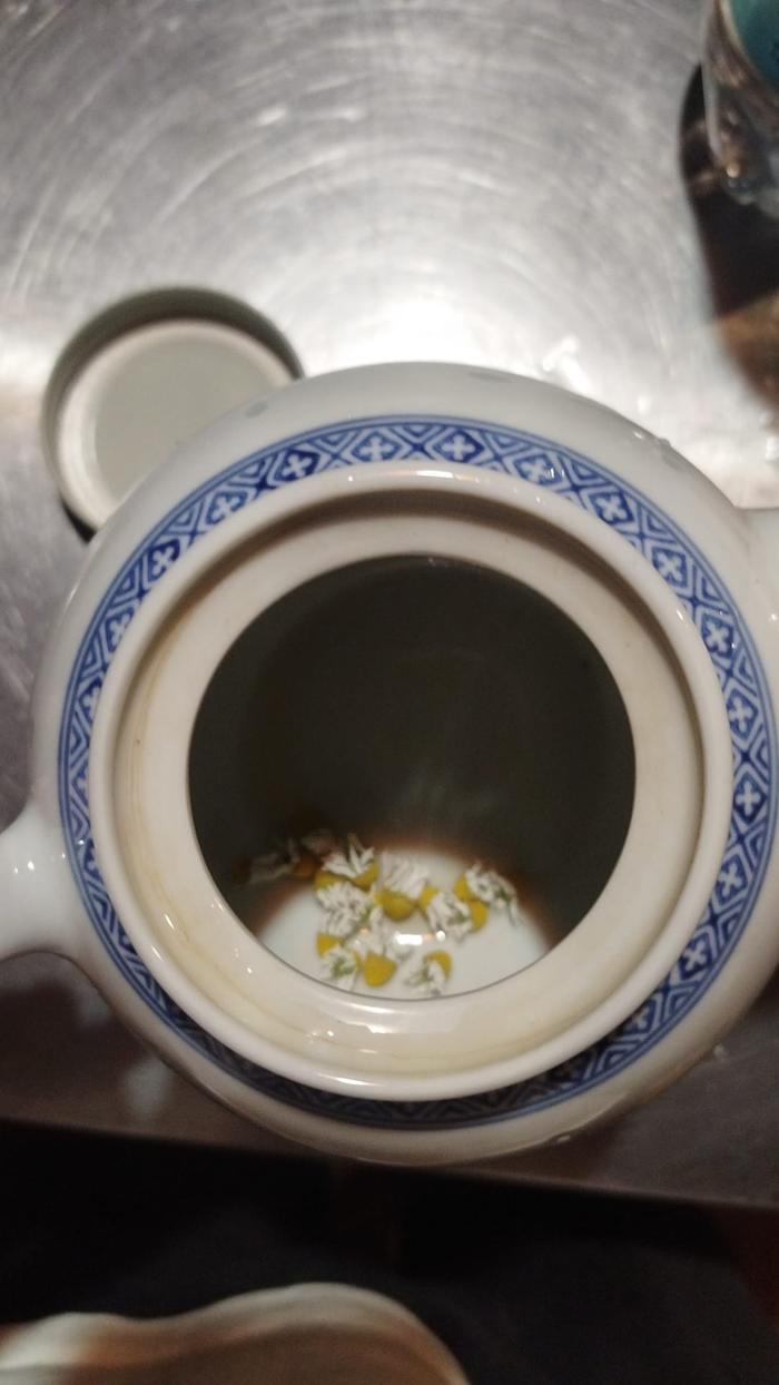 [Thumbnail for Chamomile-in-pot.jpeg]