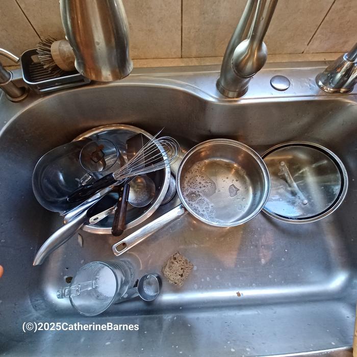 Dishes