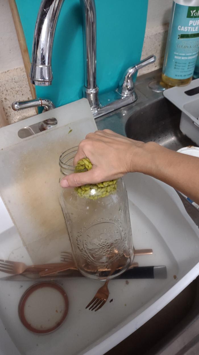 [Thumbnail for washing-the-dishes.jpg]