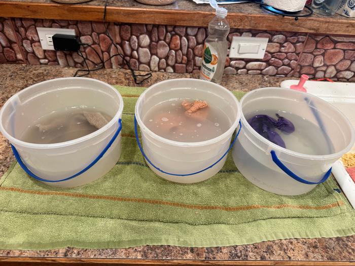 Buckets of water used. This is after I finished washing, each one had a little more in it to begin with, but not much.