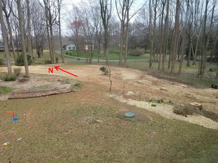 [Thumbnail for 20190330_142007-Copy.jpg]