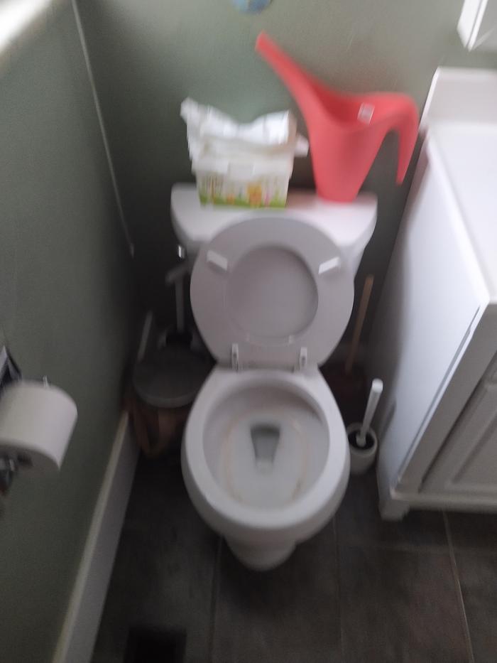 Toilet before