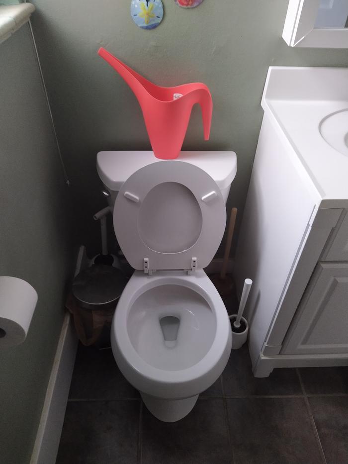 Toilet after