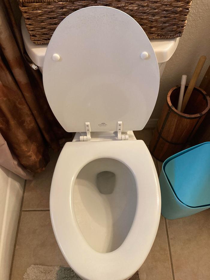 toilet clean