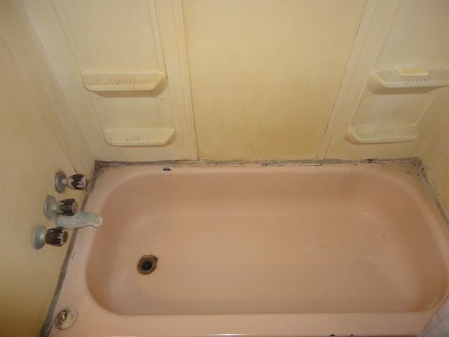 The before shot of the tub/shower. I feel I should note that even when clean this area looks scary due to staining and nasty old plasic panels. Someday I will tile this.