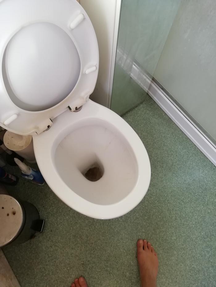 Toilet before