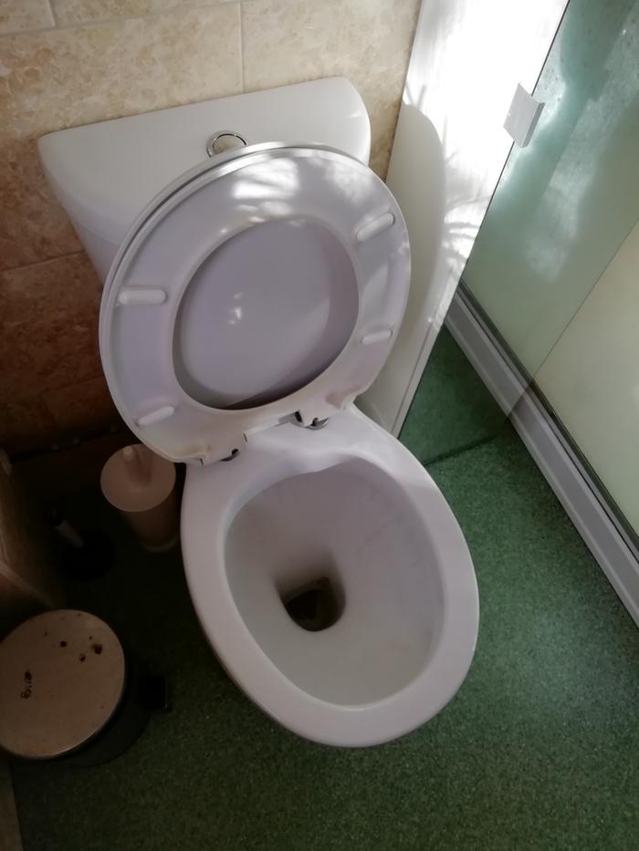 Toilet after