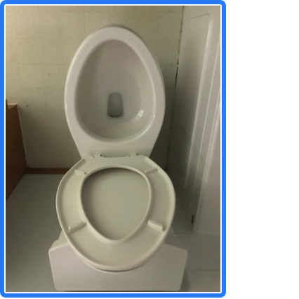 Clean Toilet