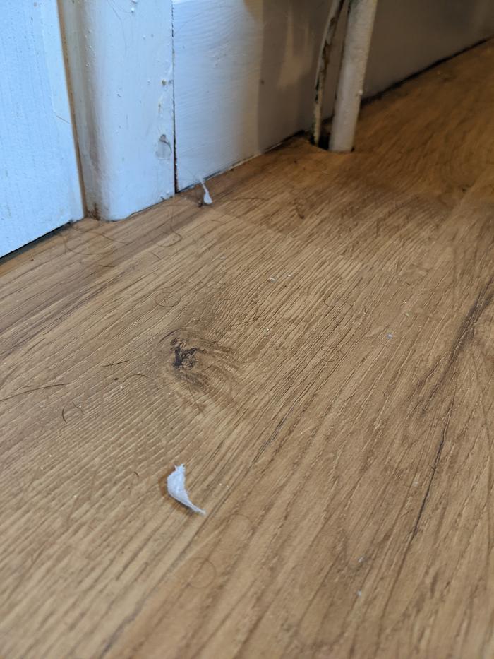 Floor - before (sorry!!)