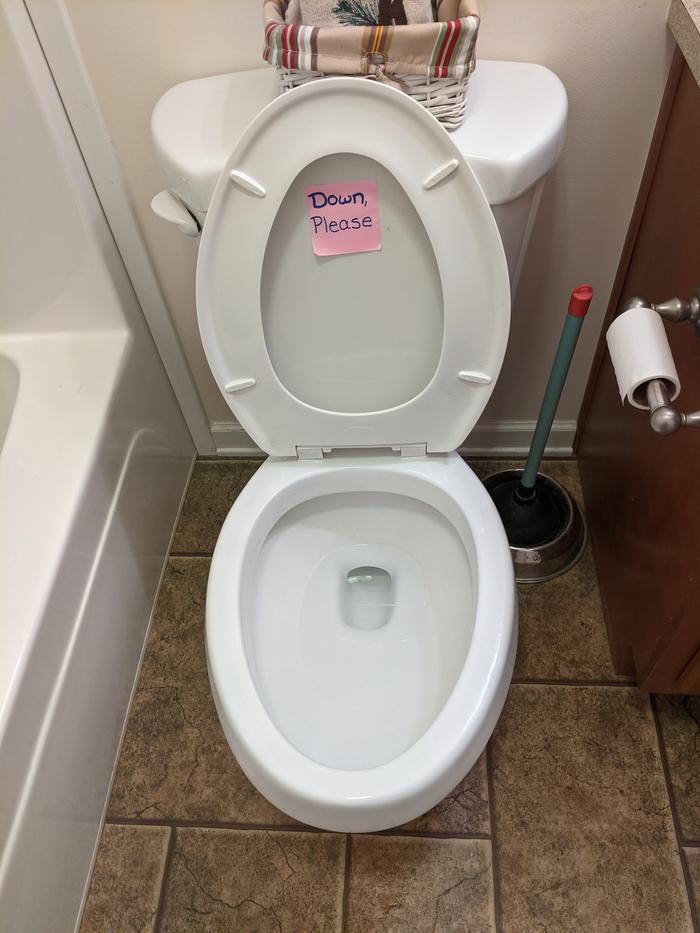 Toilet after