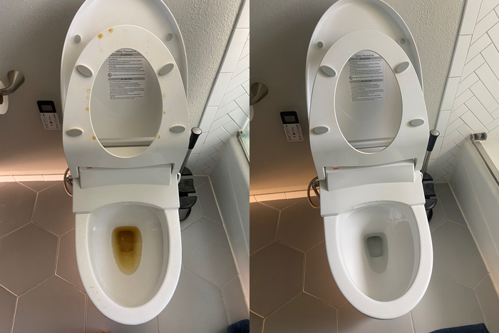 [Thumbnail for toilet_before-and-after.png]