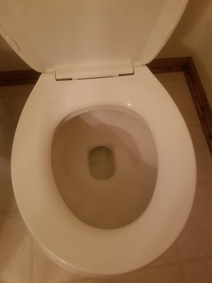 toilet after 