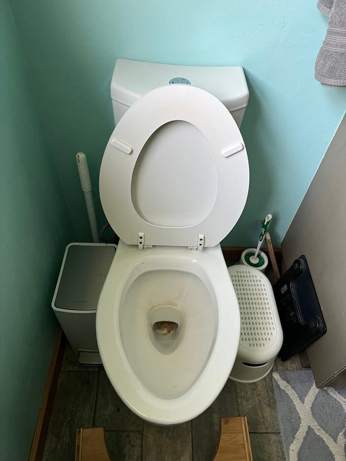 Toilet before