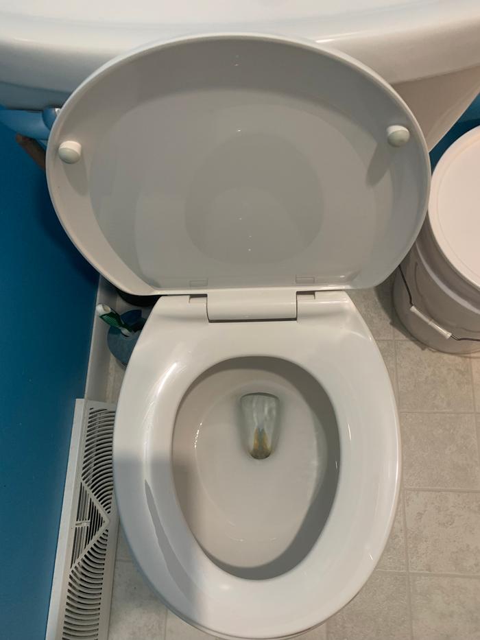 Toilet before