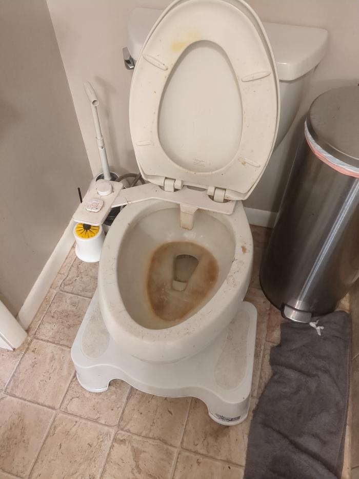 Toilet (before)