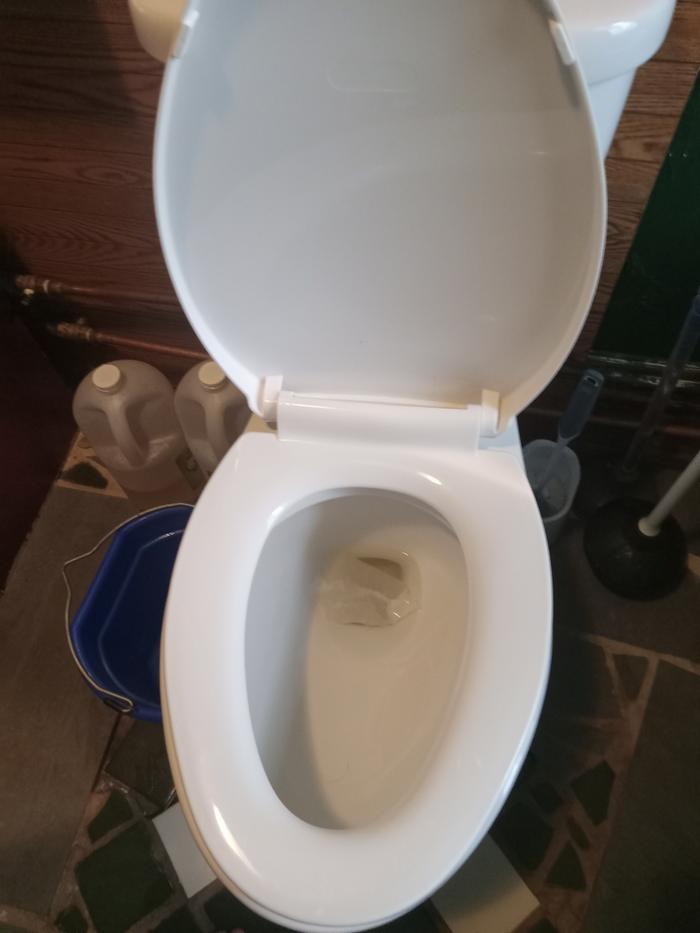 Toilet cleaned 