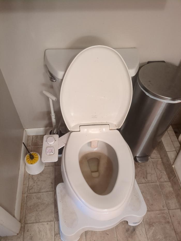 Toilet (before)