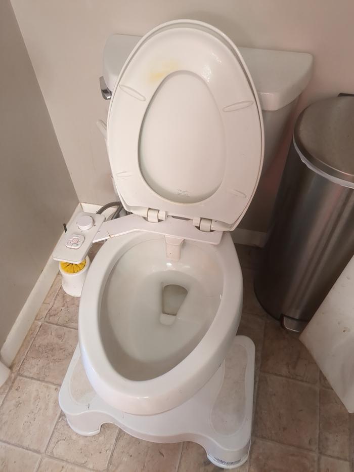 Toilet (after)