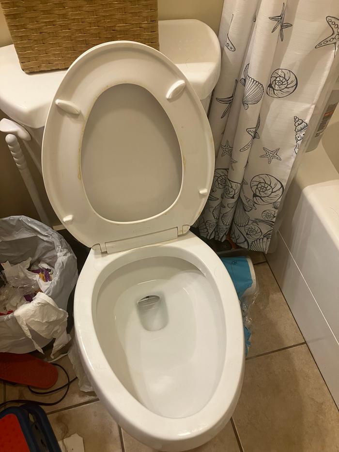 Toilet before, again, it’s been worse, but I have boys so…you can understand why I don’t trust the look of it.