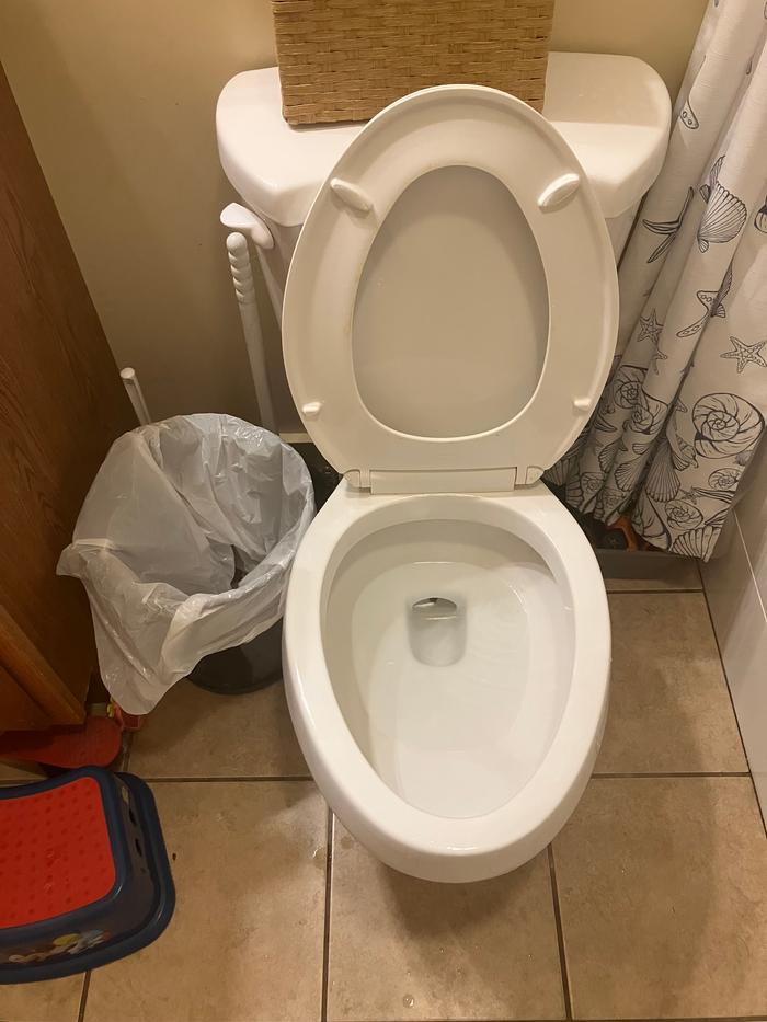 Toilet after