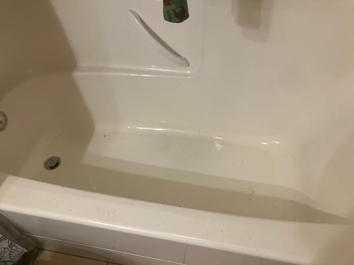 Tub before. Lots of dog hair. He needed a bath and made a mess.