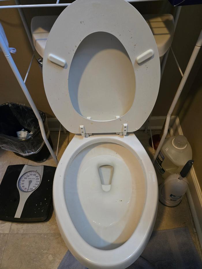 Toilet before