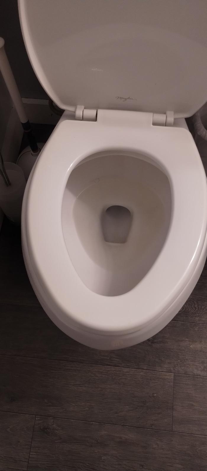 dirty toilet