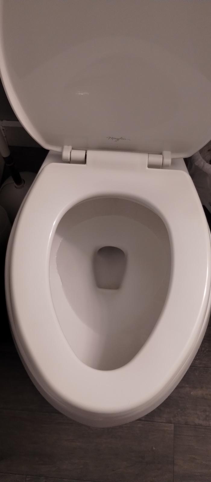 clean toilet