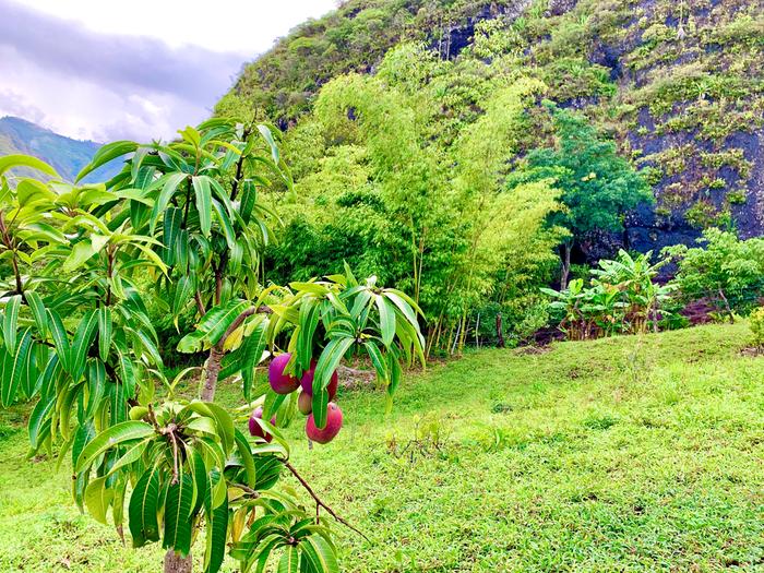 [Thumbnail for E6CF8429-65B8-4F12-9F25-BA367715F1F2.jpeg]