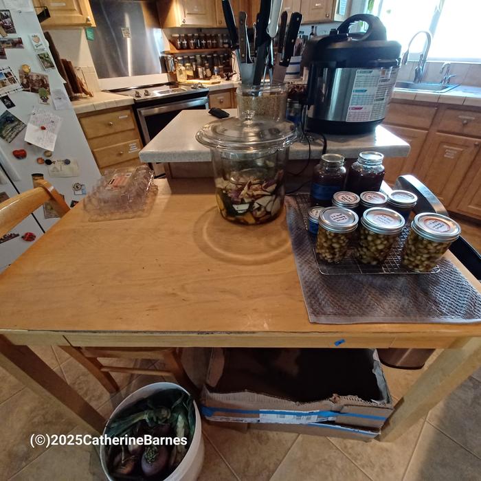 [Thumbnail for BB-Clean-a-Kitchen-before-counter-table.jpg]