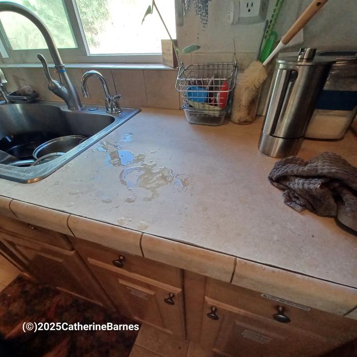 [Thumbnail for BB-Clean-a-Kitchen-before-short-counter.jpg]