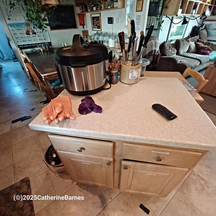[Thumbnail for BB-Clean-a-Kitchen-before-counter.jpg]