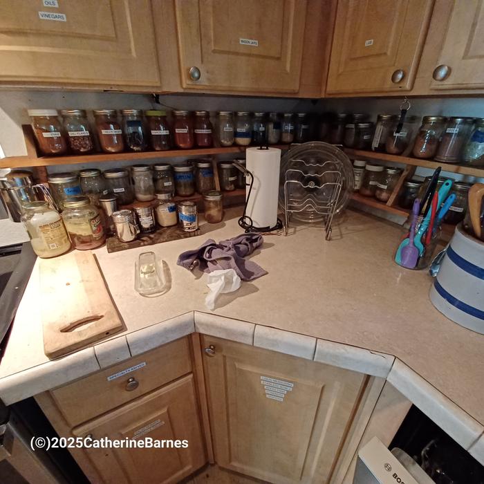 [Thumbnail for BB-Clean-a-Kitchen-before-long-counter.jpg]