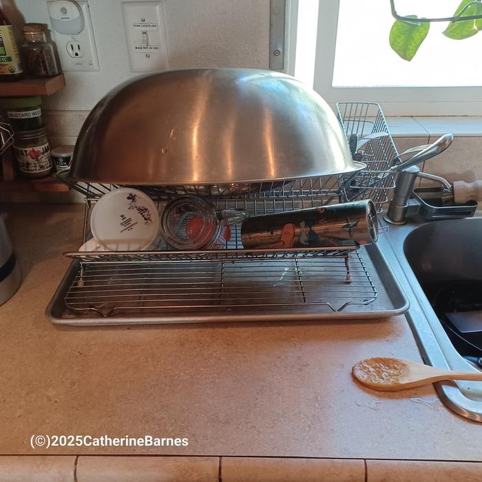[Thumbnail for BB-Clean-a-Kitchen-before-dish-rack.jpg]