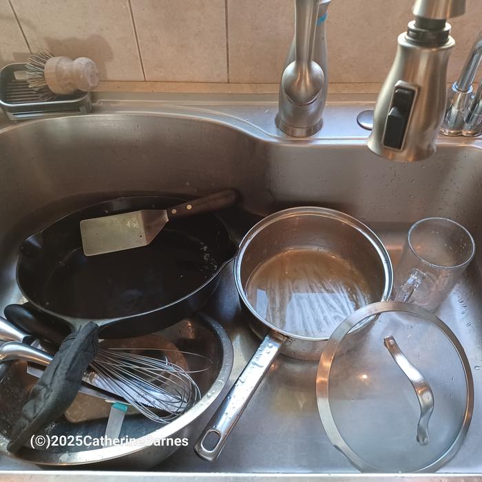 [Thumbnail for BB-Clean-a-Kitchen-before-sink.jpg]