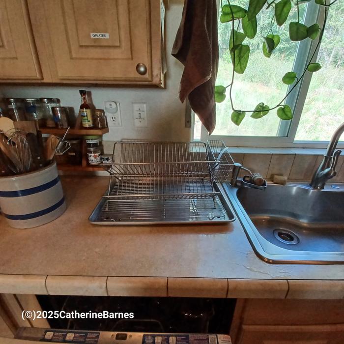 [Thumbnail for BB-Clean-a-Kitchen-after-dishrack.jpg]