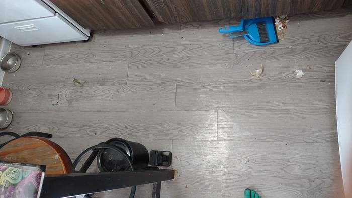 [Thumbnail for 06-dirty-floor.jpg]