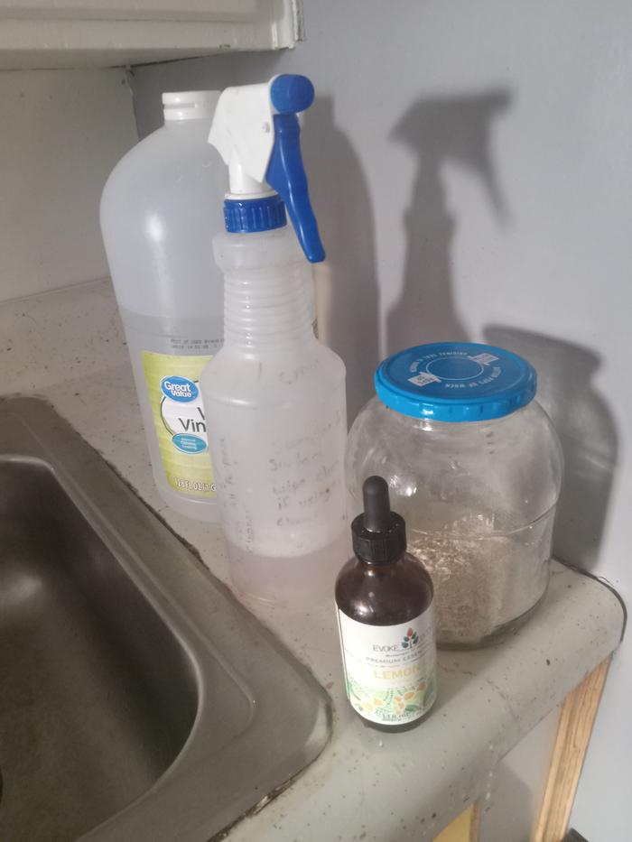 The cleaners used when needed. The spray is a lemon oil and vinegar spray mixture we use. And the powder is egg shells that I use on the stove top and pans.