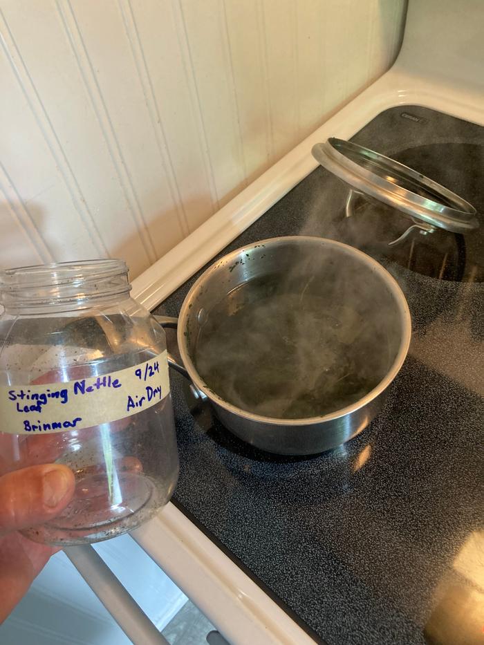 Making the decoction. Steeping for 30 minutes.