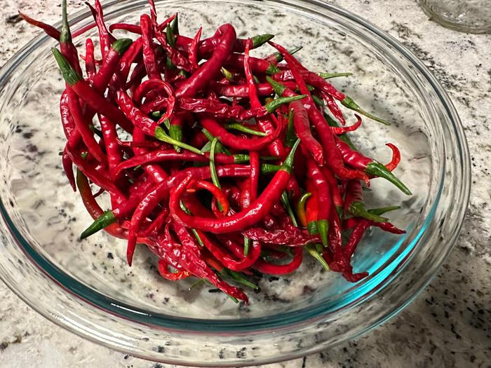 harvested cayenne peppers