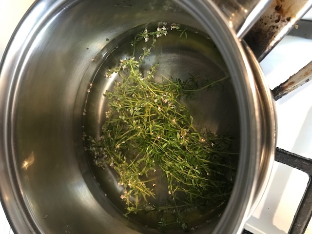 Placing herbs in water