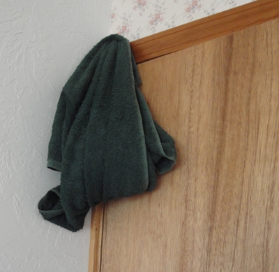 [Thumbnail for door-closer-4.png]
